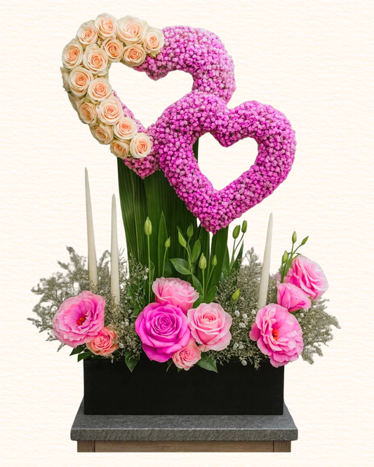 BV-S0502